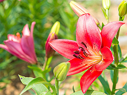 中欧体育下载产品展示一