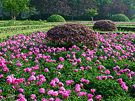 中欧体育下载产品展示四